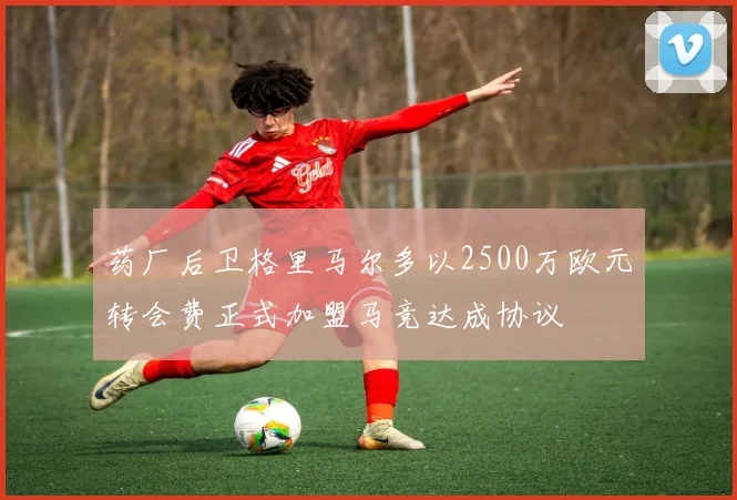 药厂后卫格里马尔多以2500万欧元转会费正式加盟马竞达成协议