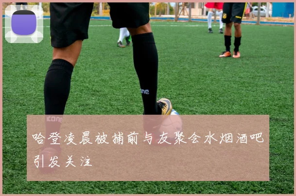 哈登凌晨被捕前与友聚会水烟酒吧引发关注